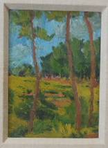 「津島千本松原」