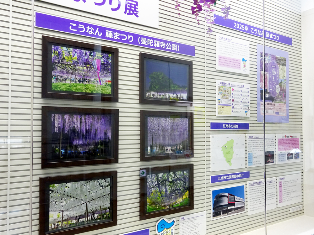 「津島市・江南市 藤まつり展」江南市側