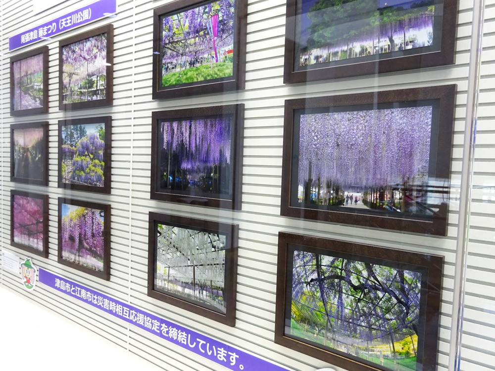 「津島市・江南市 藤まつり展」展示写真