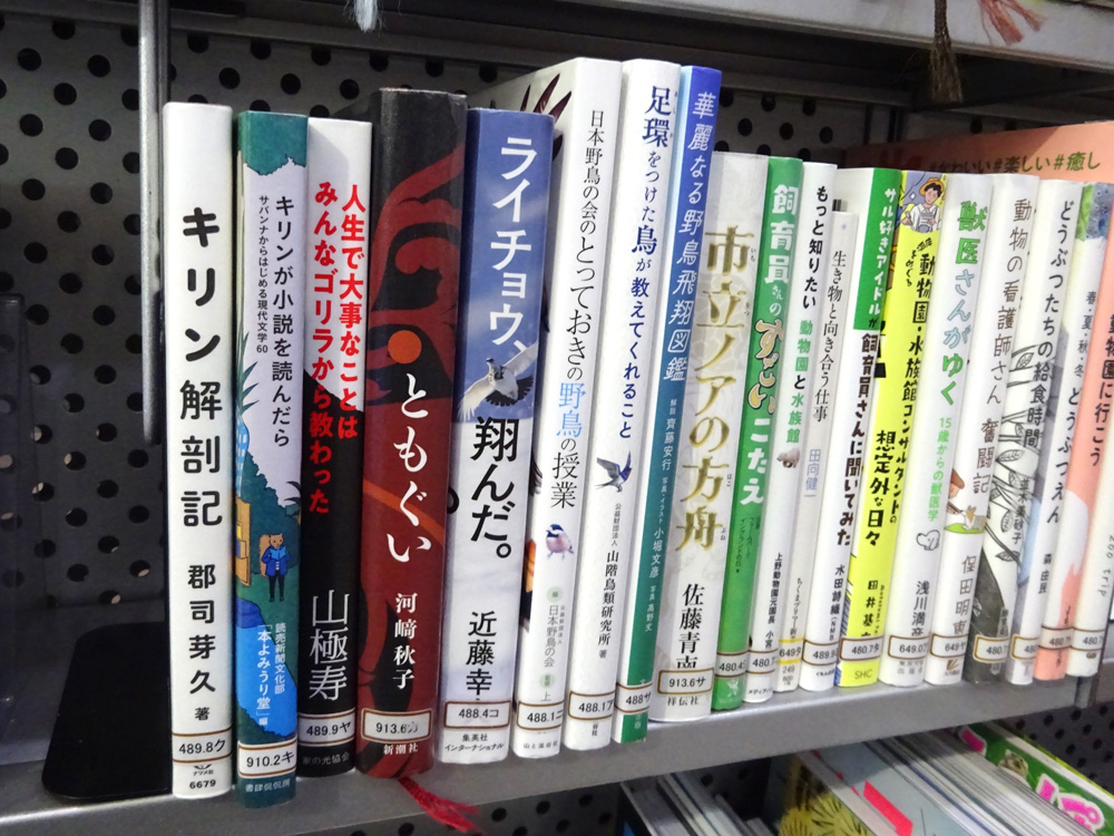 「わくわく動物ランド」コーナー本棚