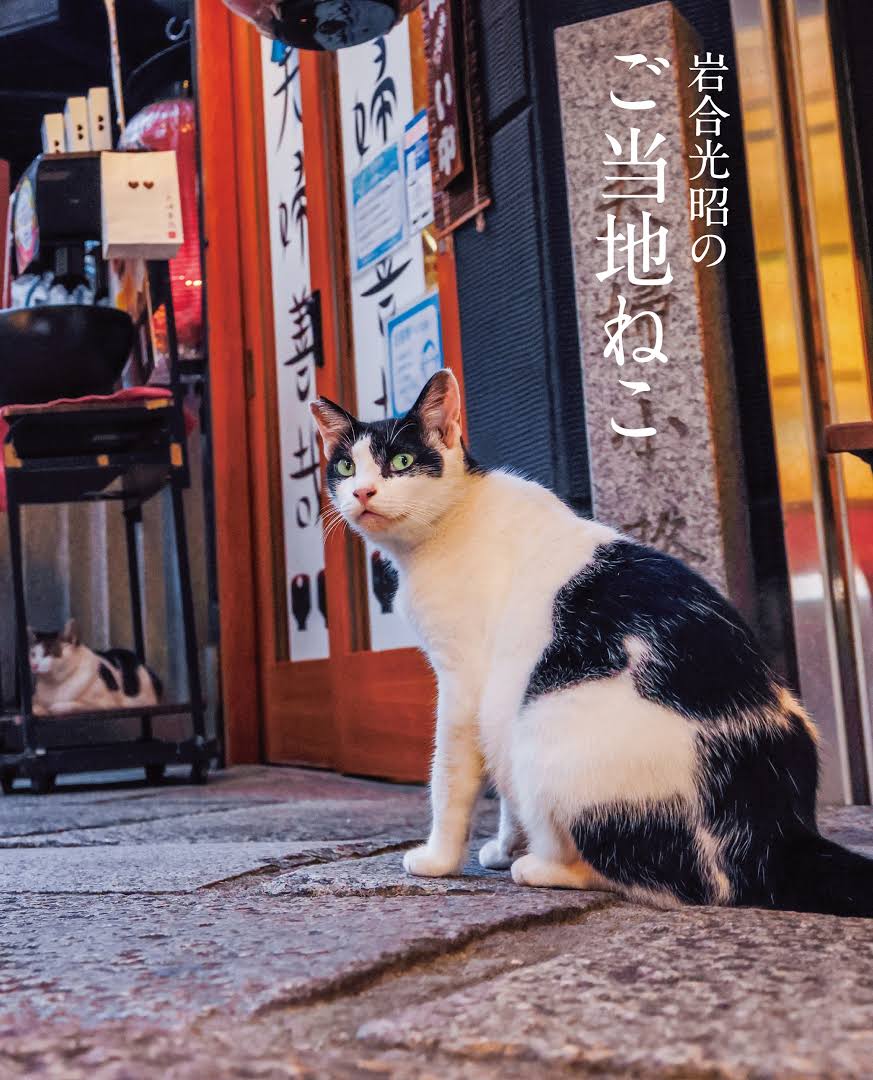 『岩合光昭のご当地ねこ』 岩合 光昭/著 クレヴィス 『岩合光昭のご当地ねこ』表紙