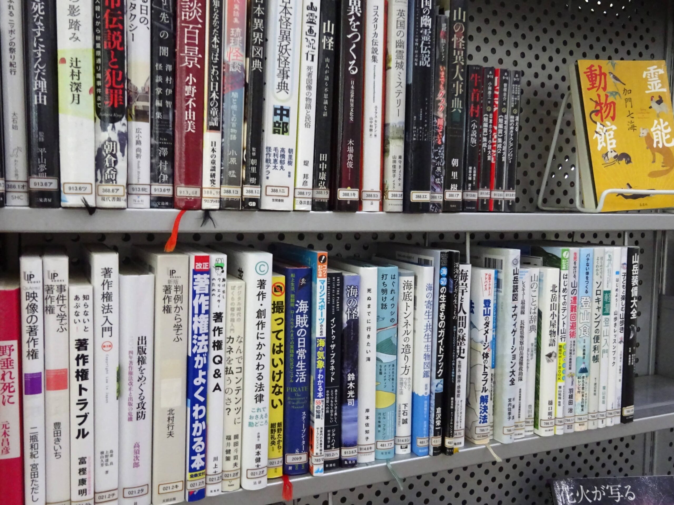 コーナー7「7・8月の本」本棚