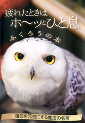 『疲れたときはホ～ッとひと息ふくろうの本』表紙