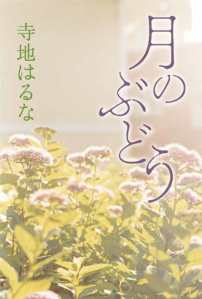 『月のぶどう』表紙